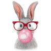 Rabbit chewed gum