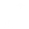 Diving
