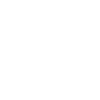 Mom Fencer