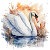Power Animal Swan