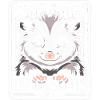 Opossum Possum Animal