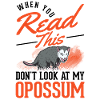 Opossum Gift Possum Marsupial