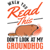 Marmot Groundhog Day Woodchuck