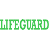 Paramedic Spell Lifeguard