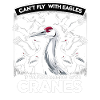 Sandhill Crane Lovers Bird Watching