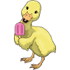 Duck Popsicles