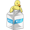 Duck Milk