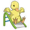 Duck Slide