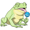 Frog Lollipop