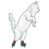 Cat Inline skating Inline skates