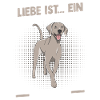 Hund Weimaraner