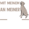 Hund Weimaraner