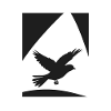 Vogelschwarm Vogel Tier