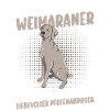 Hund Weimaraner
