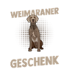 Hund Weimaraner