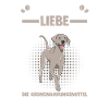 Hund Kaffee Weimaraner