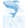 Baleines Baleine