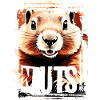 Squirrel Nuts Nuts Nuts