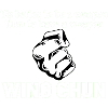 Wing Chun weapon shirt