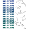 Oceanic Diversity Marine Life Conservation