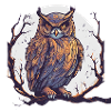 magic owl 3