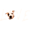 Staffordshire Love