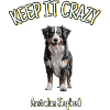 Australian Shepherd - Hold det vanvittigt