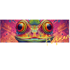 Frog Frog Face