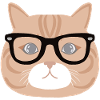 Chat à lunette