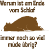 Müde schlafen Bär Lustiger Spruch