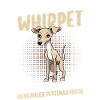 Hund Whippet