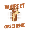 Hund Whippet