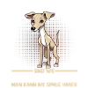 Hund Whippet