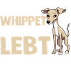 Hund Whippet