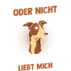 Hund Whippet