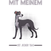 Hund Whippet