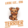 Hund Yorkshire Terrier