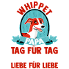 Hund Hundepapa Vater Whippetpapa Whippet