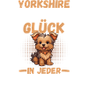 Chien Yorkshire Terrier