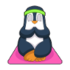 Penguin Yoga Fitness Meditation