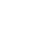 Boston Terrier