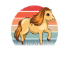 Poney Shetland Rétro