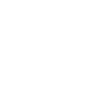 Super inspecteur
