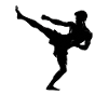 Martial Arts Fighter Design