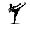 Kickboxing Kickboxer