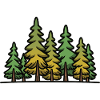 Forest Trees