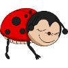 Coccinelle dort