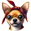 Chihuahua The Rap Artist