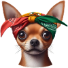 Chihuahua The Rapper