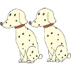 Dalmatian double